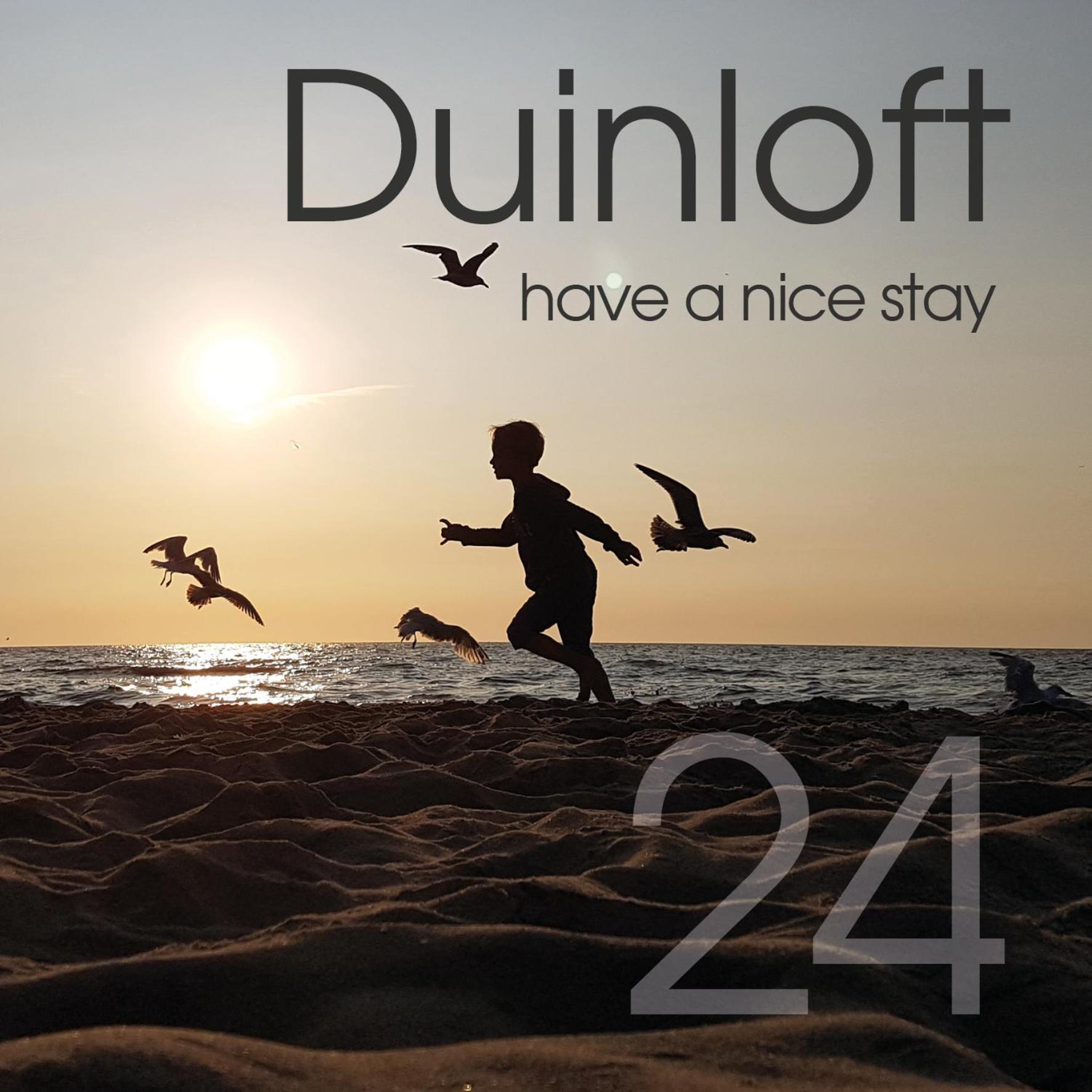 Appartement Duinloft 150 M From The